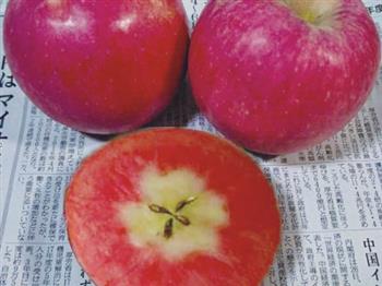 紅寶甜紅肉蘋果