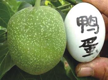 神秘一號